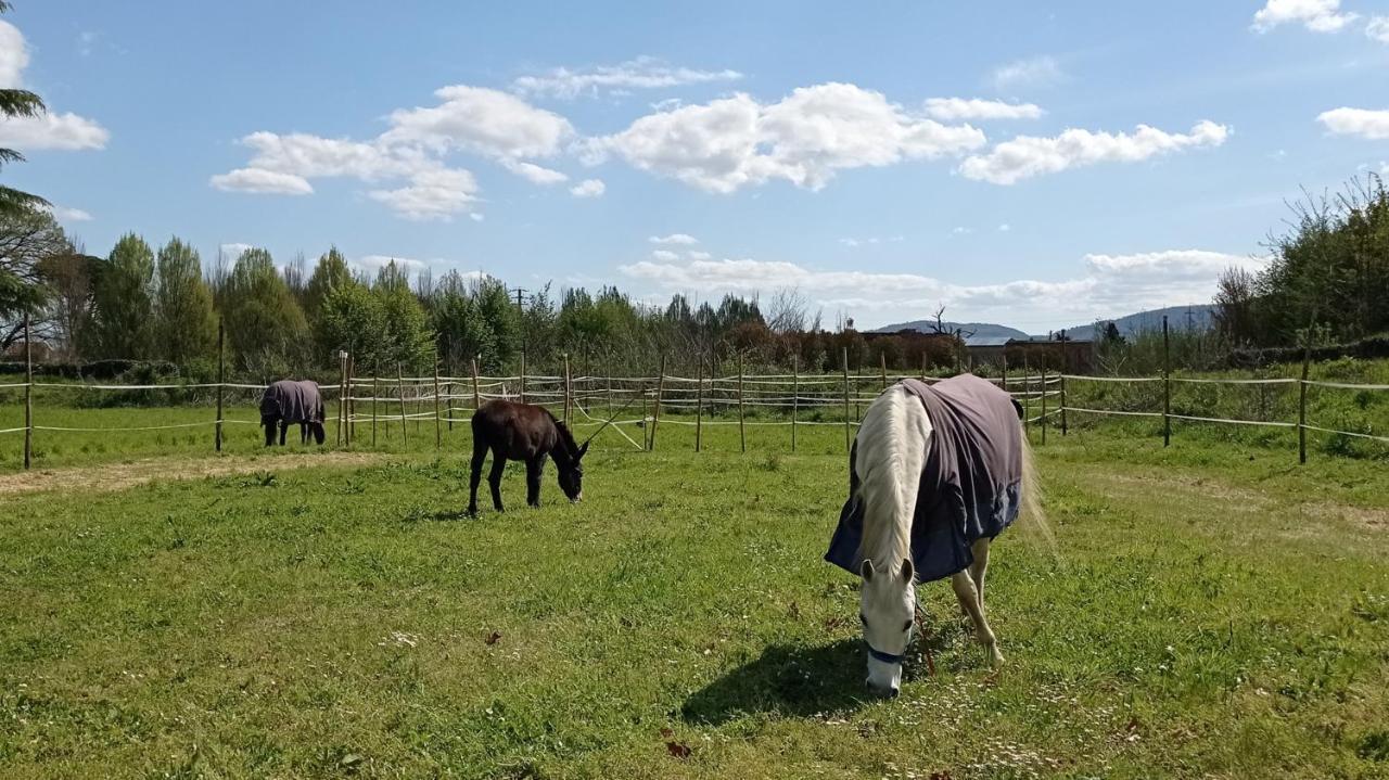 Il Fienile Della Farnia Appartement Pistoia Buitenkant foto